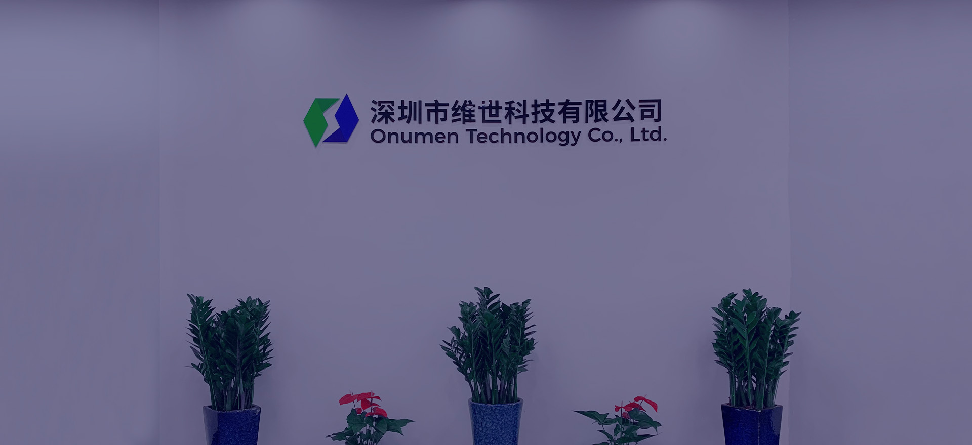 深圳市维世科技有限公司 